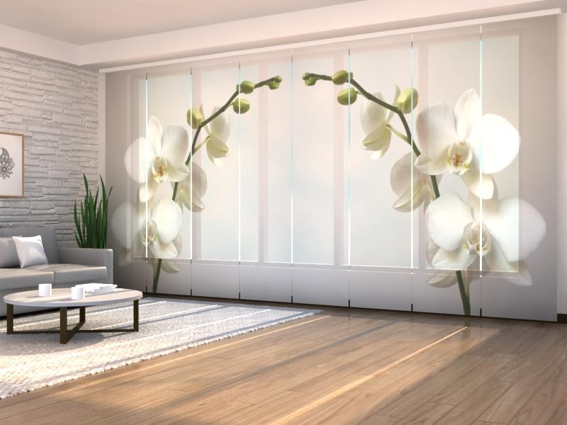 Paneļu aizkari (8 daļas) Riga Orchid Home Trends