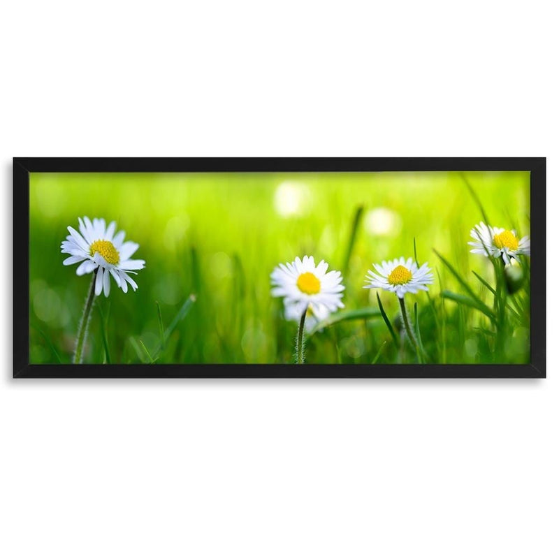 Picture in black frame PANORAMA, Daisy Flower  Home Trends