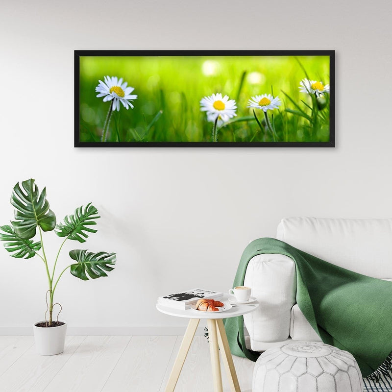 Picture in black frame PANORAMA, Daisy Flower  Home Trends