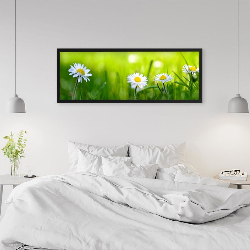 Picture in black frame PANORAMA, Daisy Flower  Home Trends