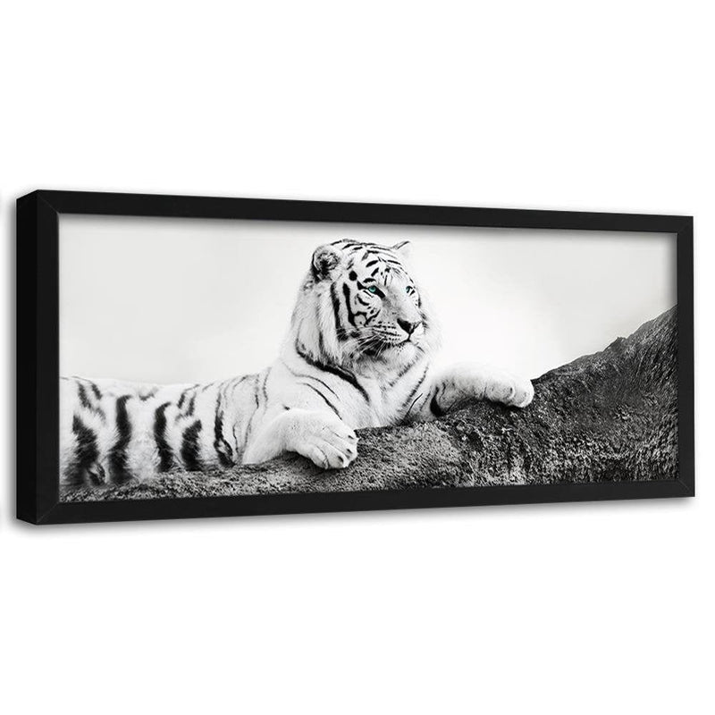 Picture in black frame PANORAMA, The Vigilant Tiger  Home Trends