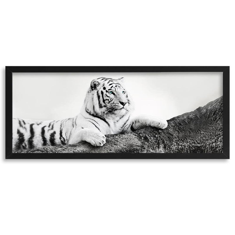 Picture in black frame PANORAMA, The Vigilant Tiger  Home Trends