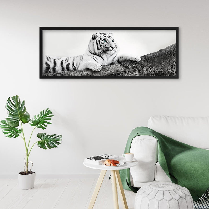 Picture in black frame PANORAMA, The Vigilant Tiger  Home Trends