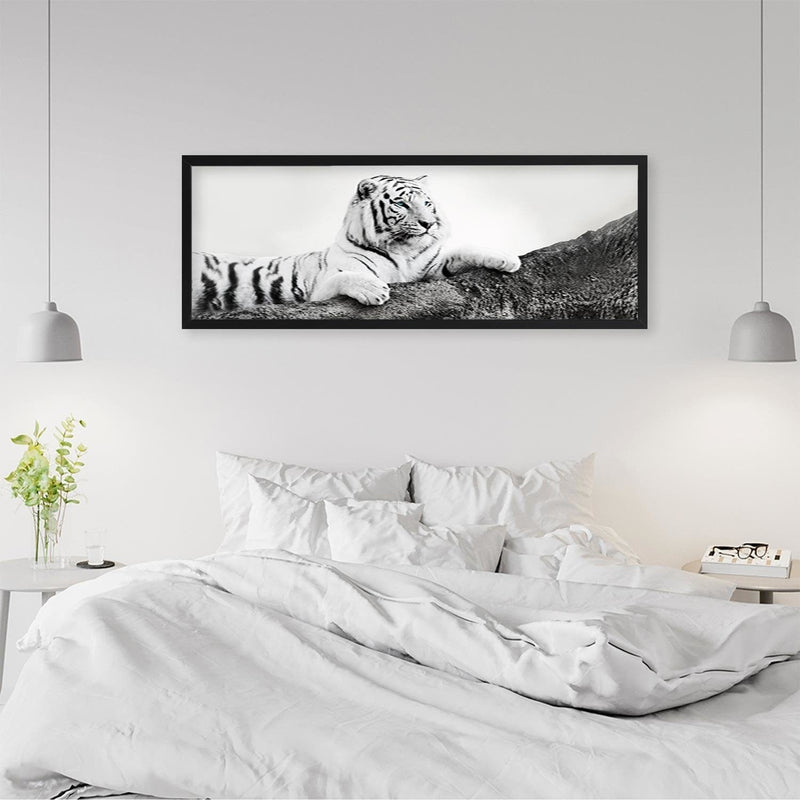 Picture in black frame PANORAMA, The Vigilant Tiger  Home Trends