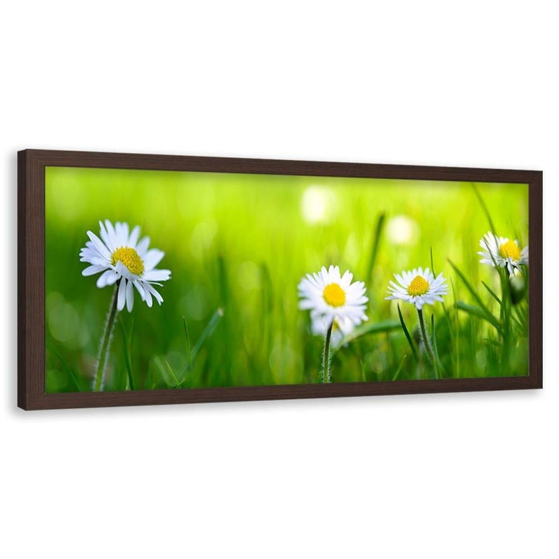 Picture in brown frame PANORAMA, Daisy Flower  Home Trends