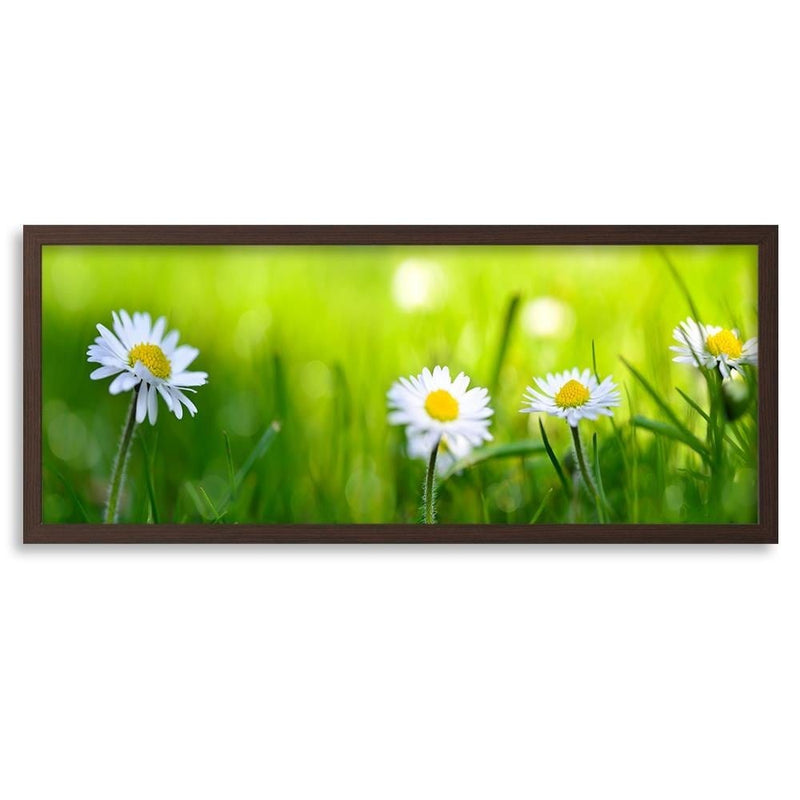 Picture in brown frame PANORAMA, Daisy Flower  Home Trends