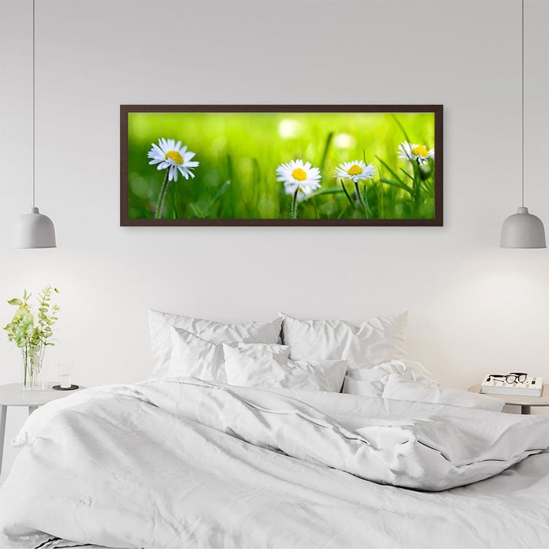 Picture in brown frame PANORAMA, Daisy Flower  Home Trends