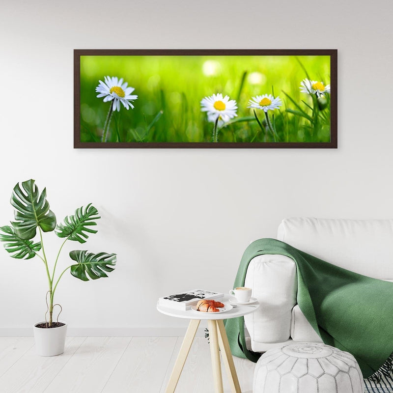 Picture in brown frame PANORAMA, Daisy Flower  Home Trends