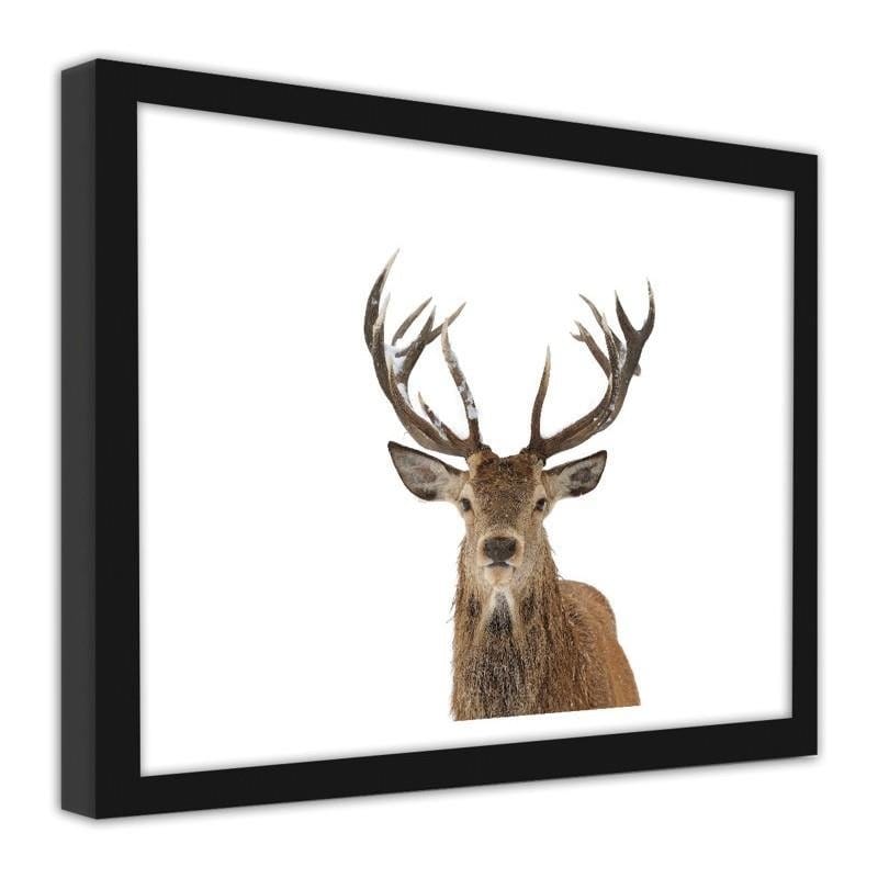 Picture in frame ZERO, Deer head  Home Trends