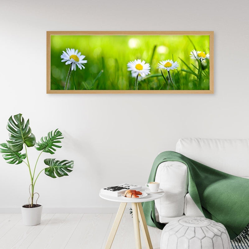 Picture in natural frame PANORAMA, Daisy Flower  Home Trends