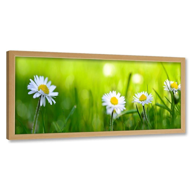 Picture in natural frame PANORAMA, Daisy Flower  Home Trends