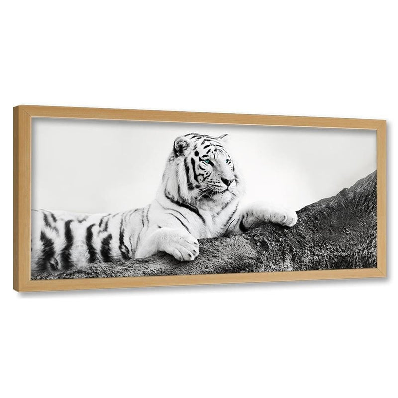 Picture in natural frame PANORAMA, The Vigilant Tiger  Home Trends