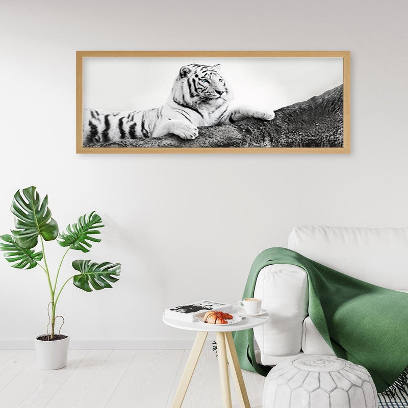 Picture in natural frame PANORAMA, The Vigilant Tiger  Home Trends