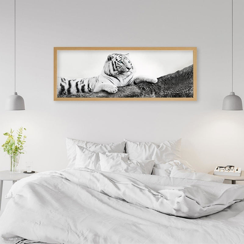 Picture in natural frame PANORAMA, The Vigilant Tiger  Home Trends