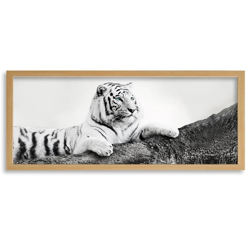 Picture in natural frame PANORAMA, The Vigilant Tiger  Home Trends