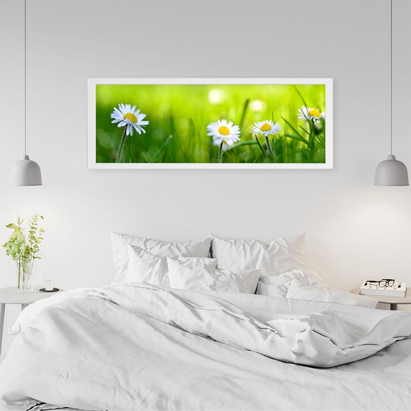 Picture in white frame PANORAMA, Daisy Flower  Home Trends