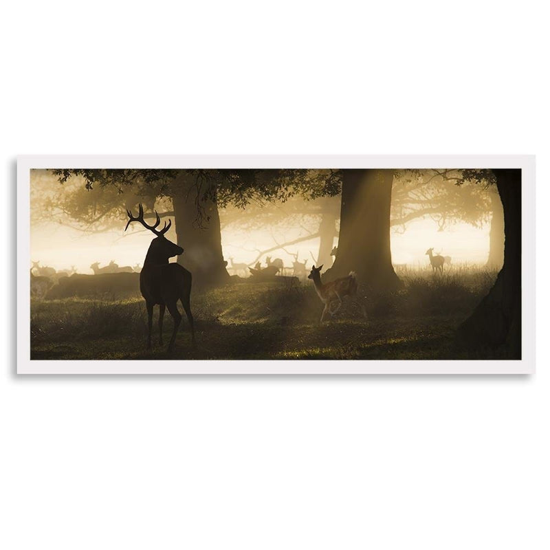 Picture in white frame PANORAMA, Deer In The Fog  Home Trends