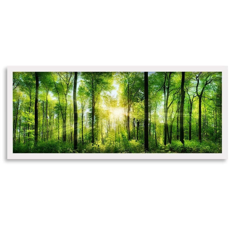 Picture in white frame PANORAMA, Sunshine  Home Trends