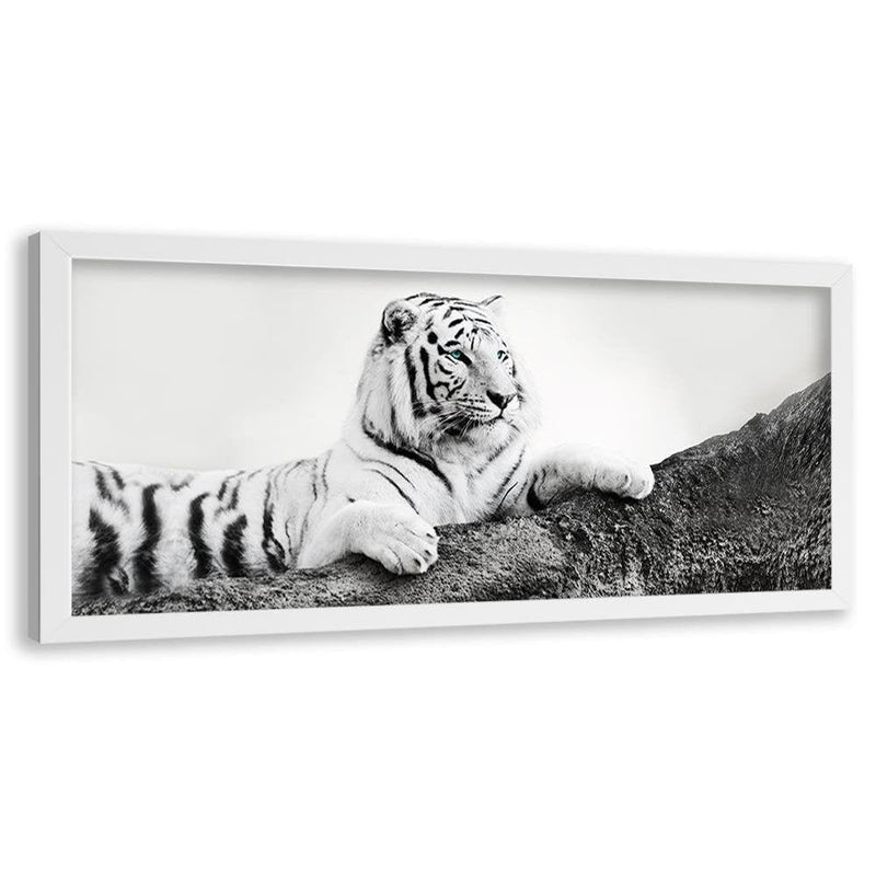 Picture in white frame PANORAMA, The Vigilant Tiger  Home Trends