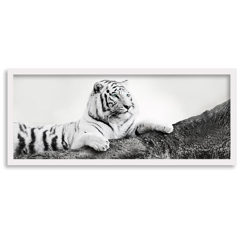 Picture in white frame PANORAMA, The Vigilant Tiger  Home Trends