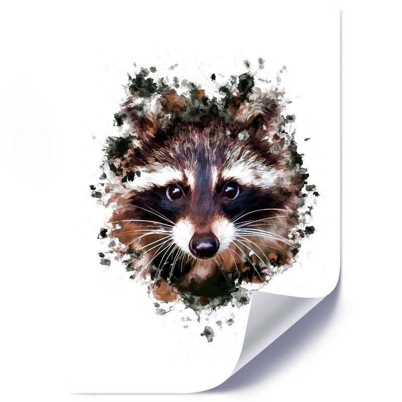 Posteris - The Raccoon  E-interjers.lv