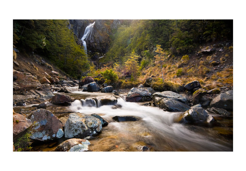 Fototapetes ar meža skatu - Ohakune - ūdenskritumi Jaunzēlandē