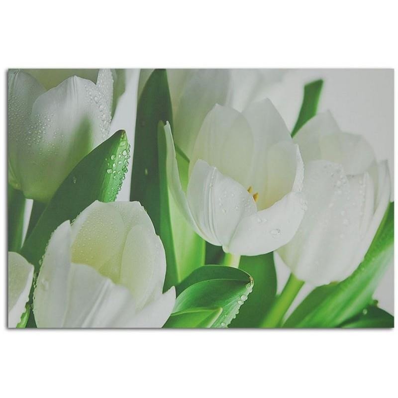 Dekoratīvais panelis - White tulips 