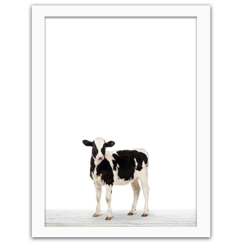 Glezna baltā rāmī - Cow calf 