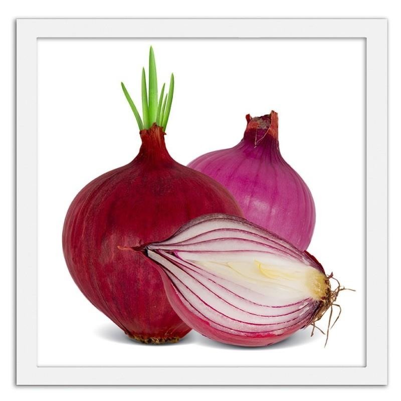 Glezna baltā rāmī - Red onions 