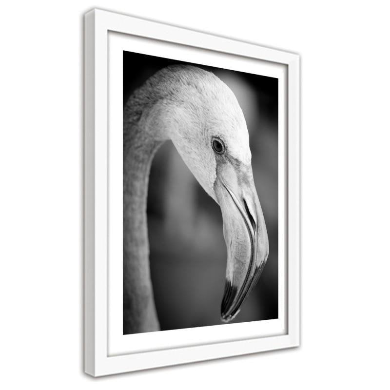 Glezna baltā rāmī - Flamingo in black and white 