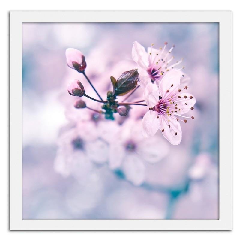 Glezna baltā rāmī - Fruit tree branch with pink flowers 