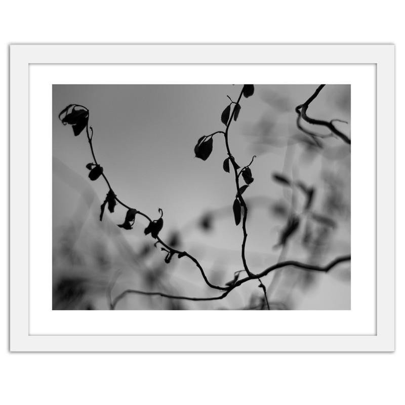 Glezna baltā rāmī - Twig on grey background 2 