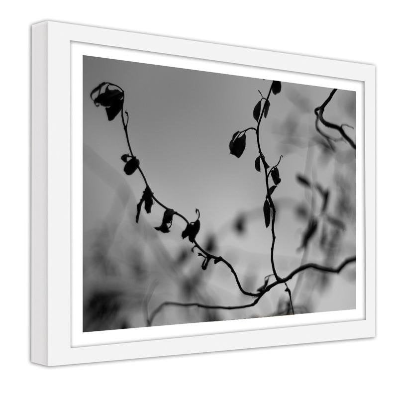 Glezna baltā rāmī - Twig on grey background 2 