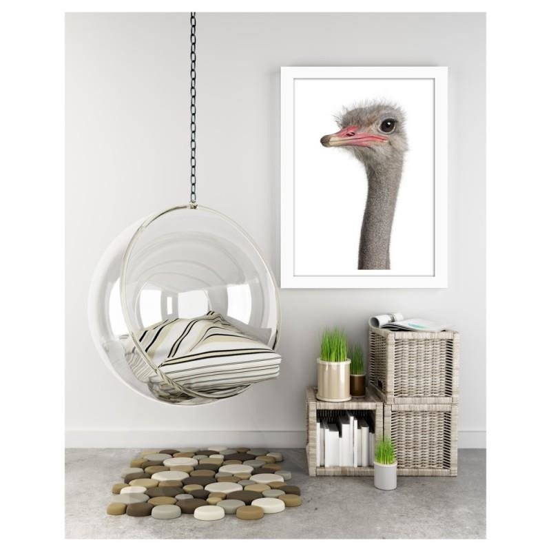 Glezna baltā rāmī - The ostrich head 