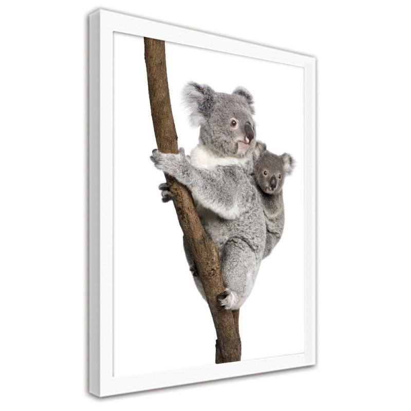 Glezna baltā rāmī - Koala climbing a tree 