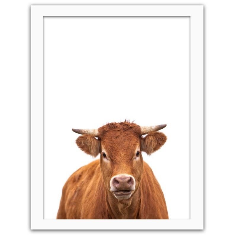 Glezna baltā rāmī - Cow portrait 