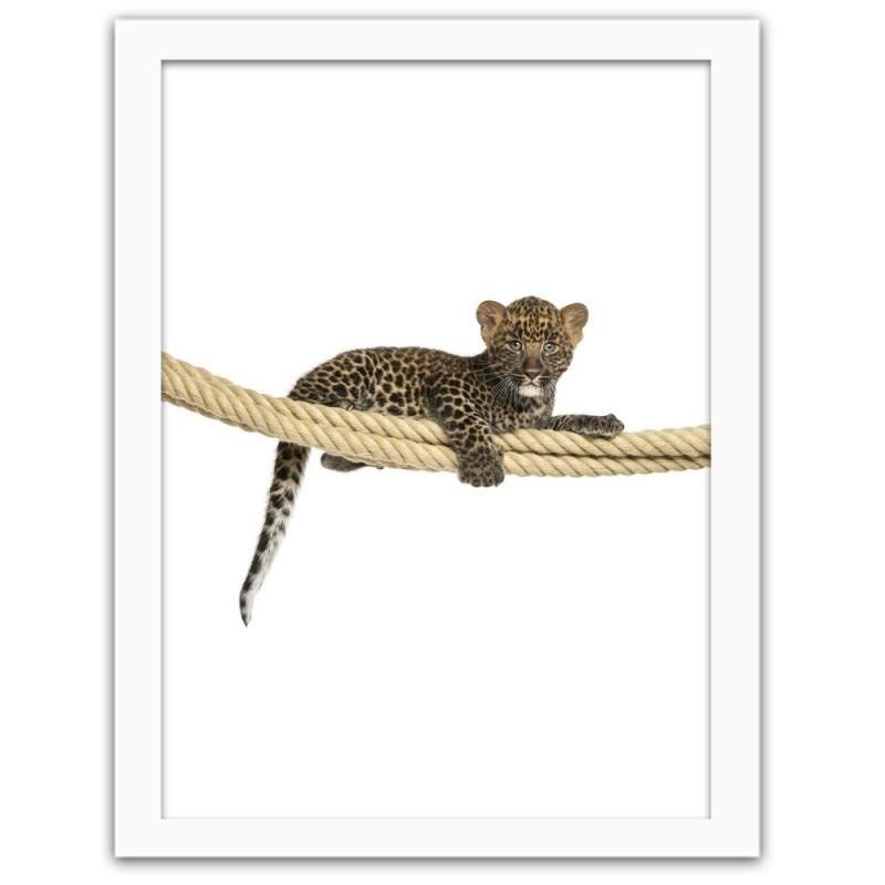 Glezna baltā rāmī - Leopard on the rope 