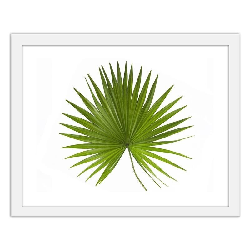 Glezna baltā rāmī - Palm leaf 