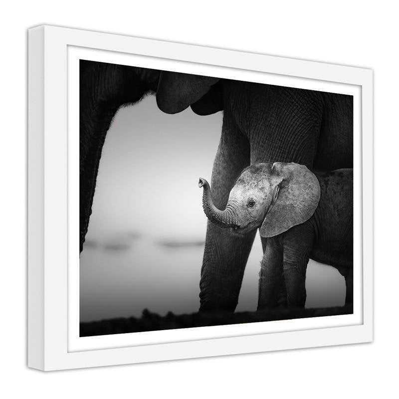 Glezna baltā rāmī - Little elephant 2 