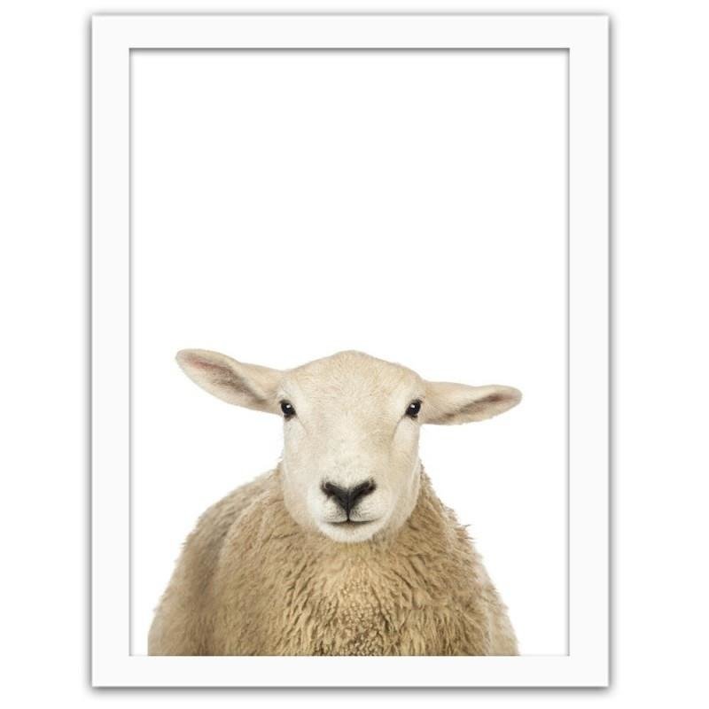 Glezna baltā rāmī - Sheep portrait 