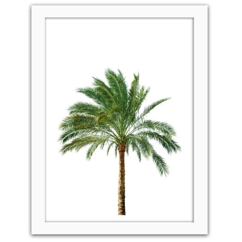 Glezna baltā rāmī - Palm on white background 