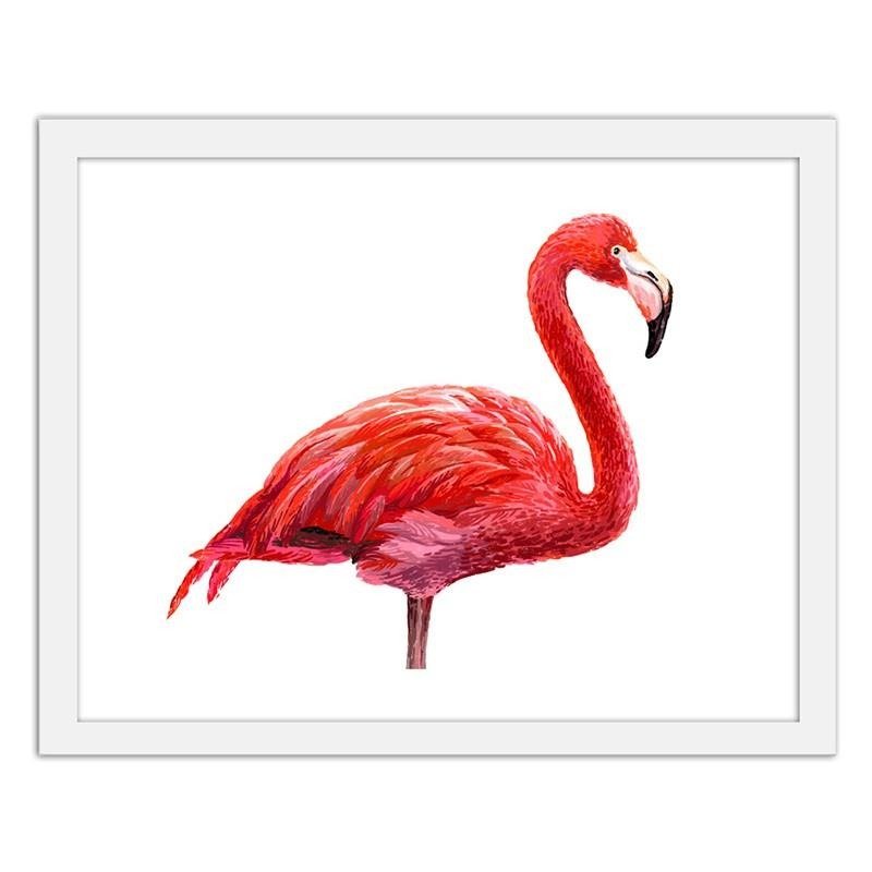 Glezna baltā rāmī - Realistic flamingo illustration 