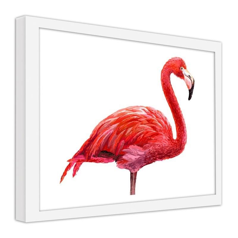 Glezna baltā rāmī - Realistic flamingo illustration 