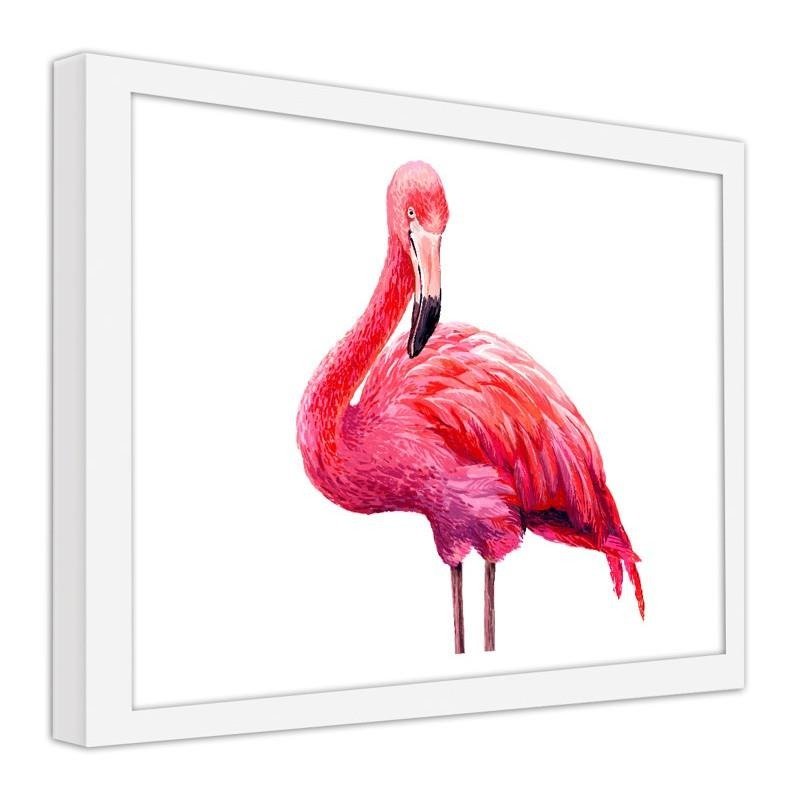 Glezna baltā rāmī - Realistic illustration of a pink flamingo 