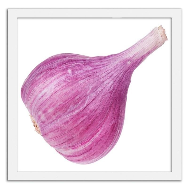 Glezna baltā rāmī - Pink garlic 