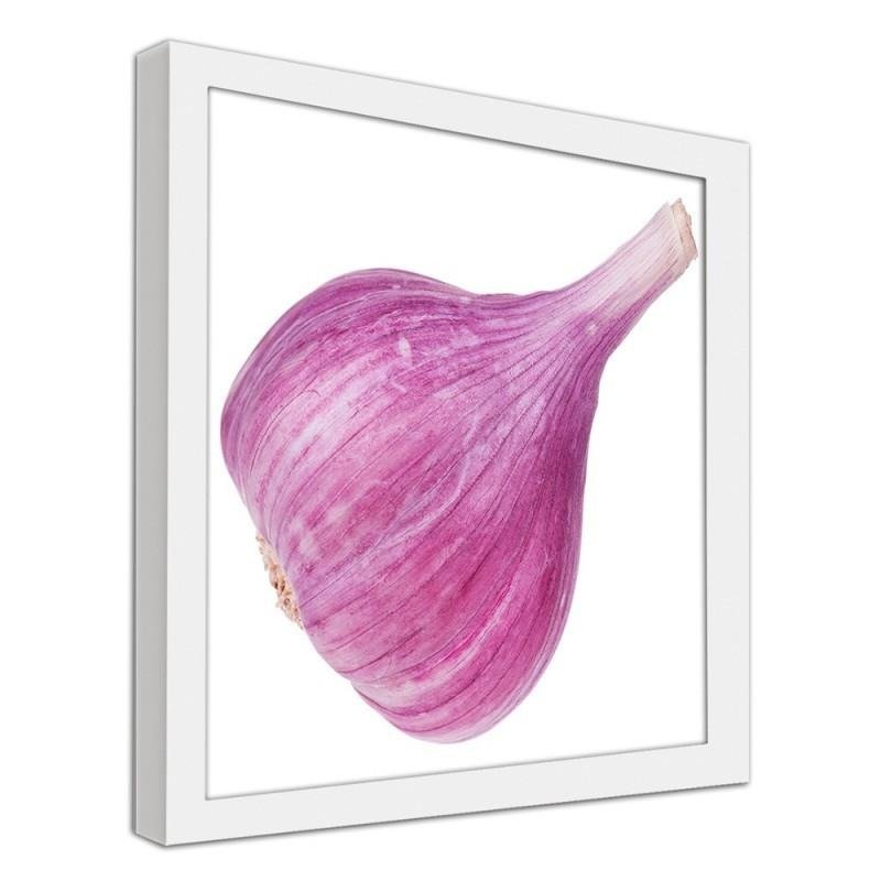 Glezna baltā rāmī - Pink garlic 