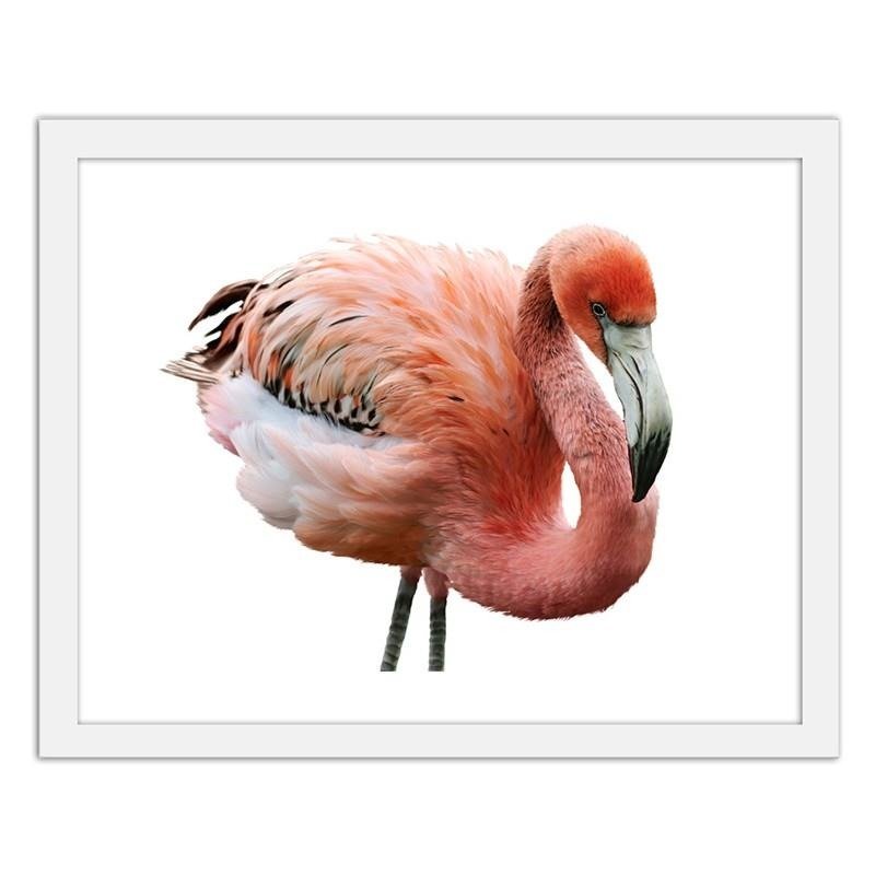 Glezna baltā rāmī - Pink flamingo 