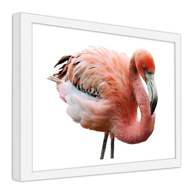 Glezna baltā rāmī - Pink flamingo 