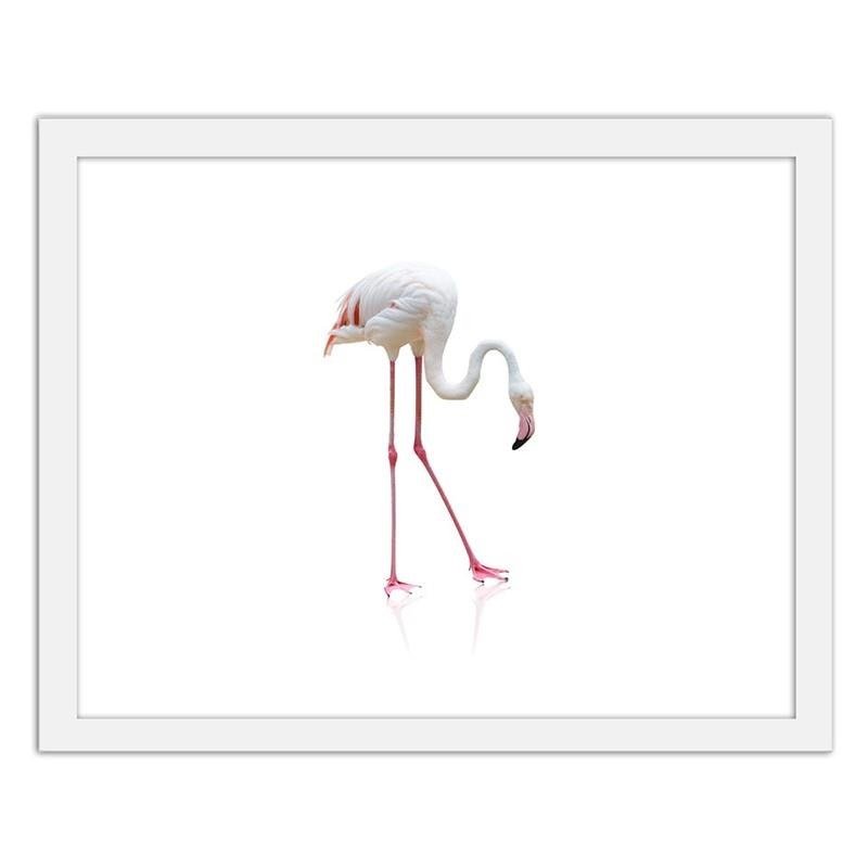 Glezna baltā rāmī - Lonely flamingo 