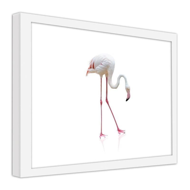 Glezna baltā rāmī - Lonely flamingo 